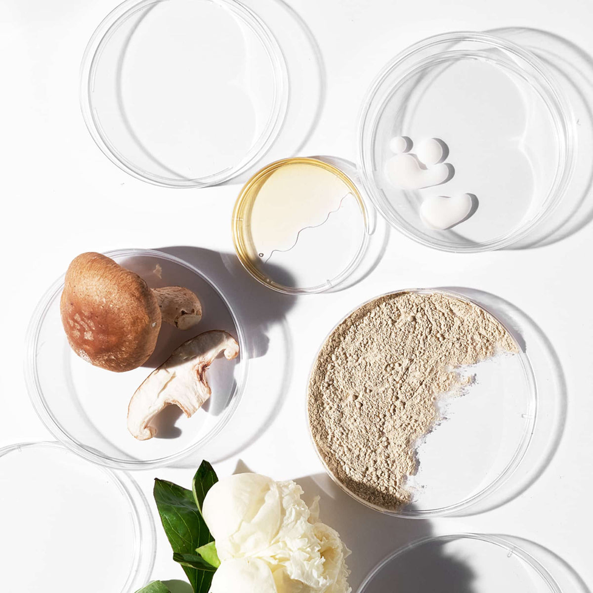 Dermalogica PowerBright Dark Spot Serum – Serum