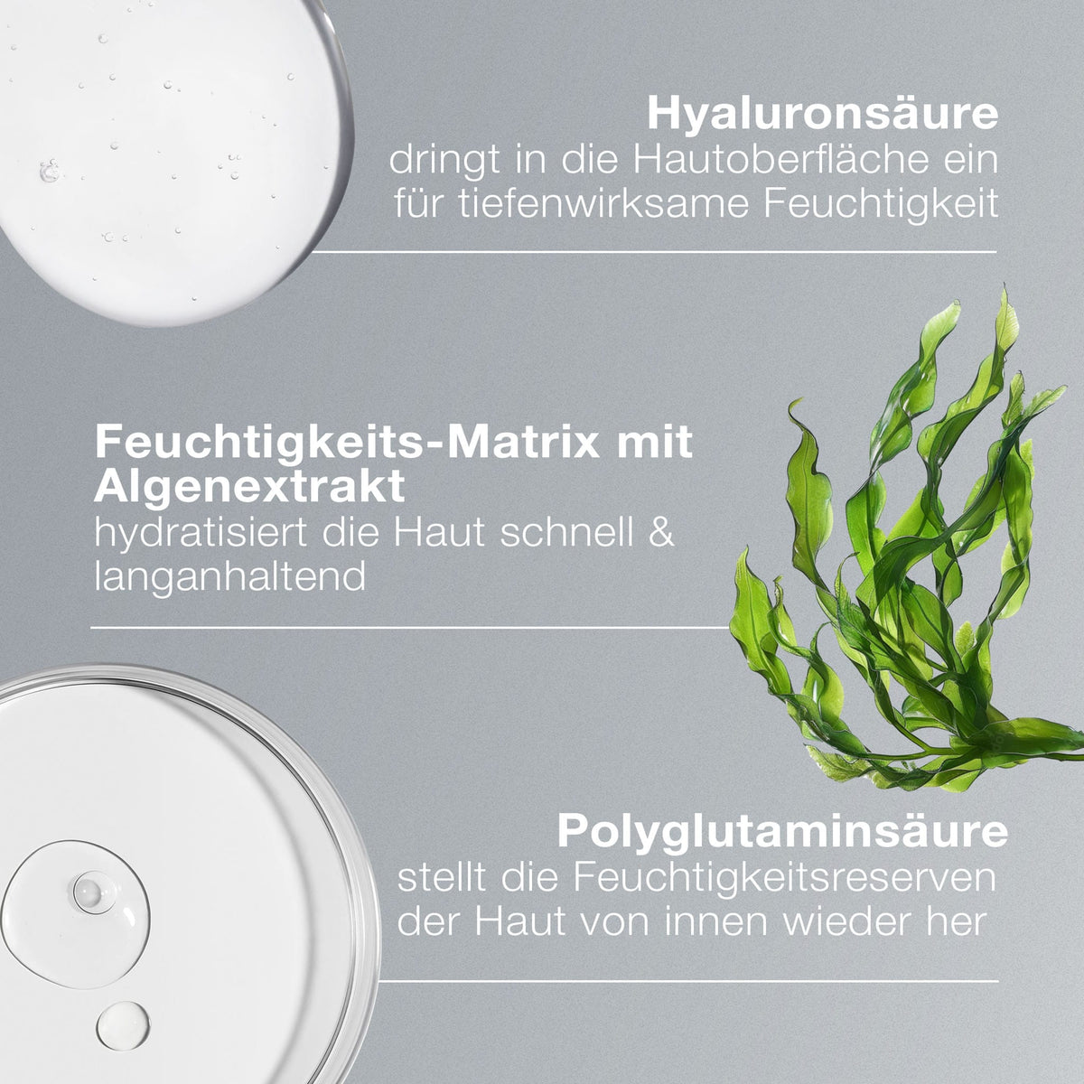 Dermalogica Circular Hydration Serum – Serum