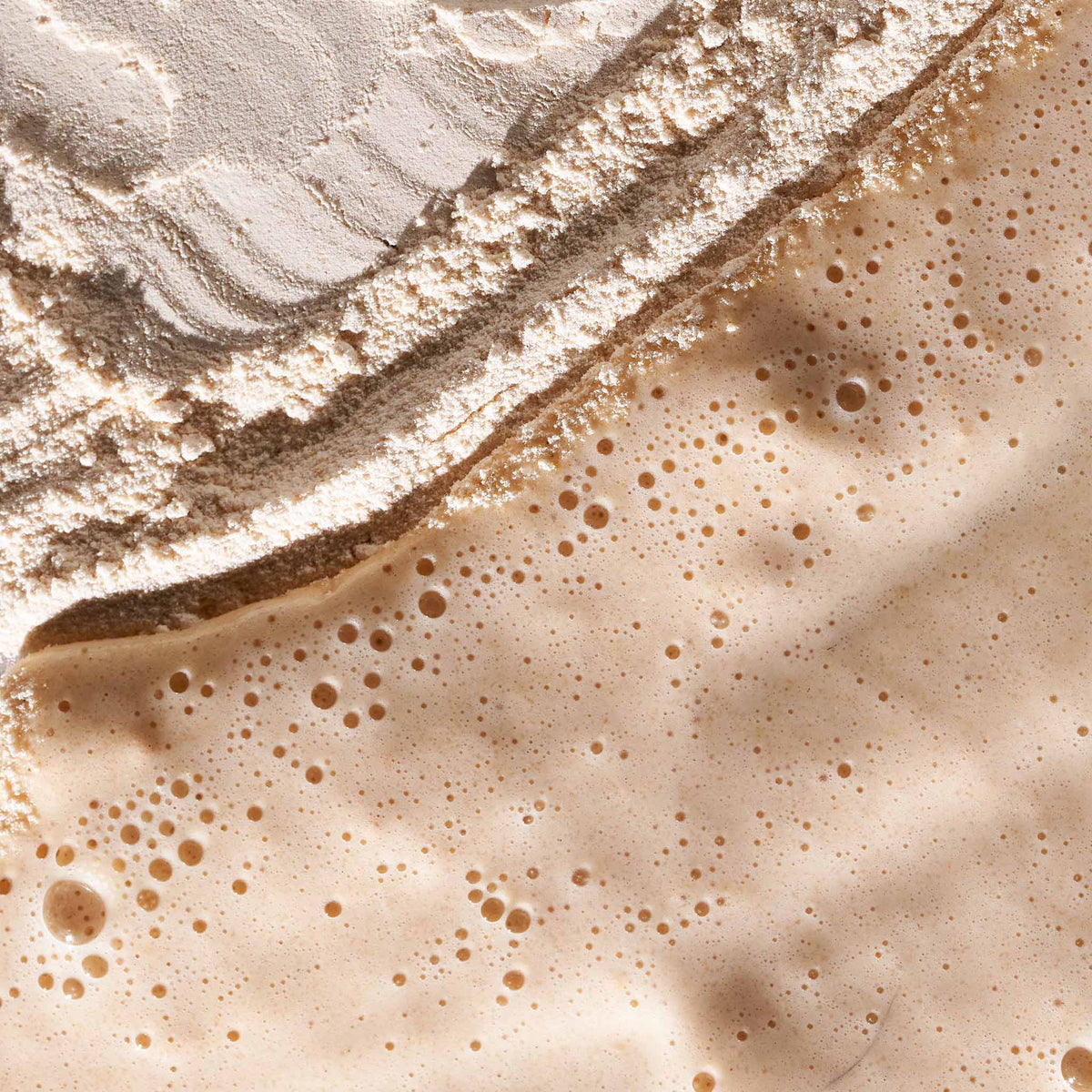 Dermalogica Daily Milkfoliant – Peeling